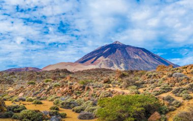 Volkanik Dağ Teide Ulusal Parkı, Kanarya Adaları, İspanya.