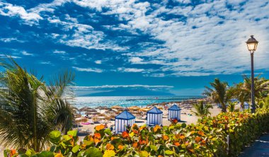 Costa Adeje 'deki El Duque plajı. Tenerife, Kanarya Adaları, İspanya