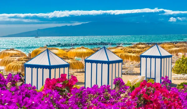 Strand Van Duque Bij Costa Adeje Tenerife Canarische Eilanden Spanje — Stockfoto