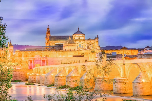 Puente Romano Catedral Mezquita Córdoba Andalucía España —  Fotos de Stock