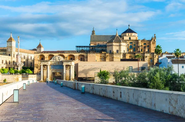 Romeinse Brug Mezquita Kathedraal Cordoba Andalusië Spanje — Stockfoto