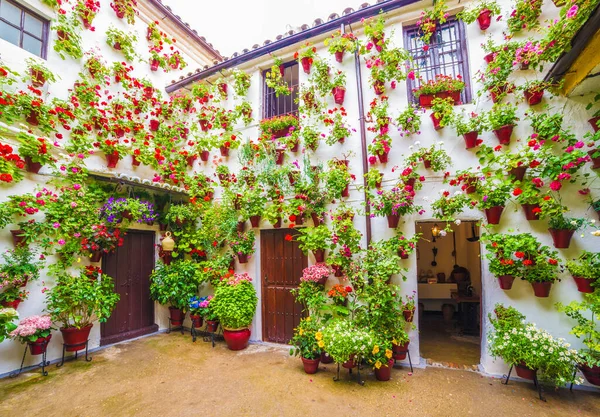 Cours Traditionnelles Avec Fleurs Cordoue Espagne — Photo