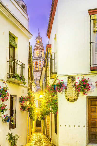 Calleja de las Flores, Cordoba, Spain