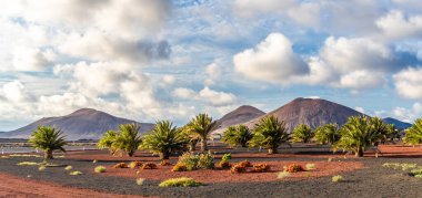 Timanfaya Ulusal Parkı, Lanzarote, İspanya 'daki volkanlarla çevrili manzara