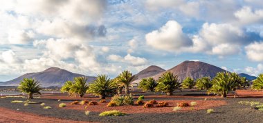 Landscape with volcanoes mountain in Timanfaya national park, Lanzarote, Spain clipart
