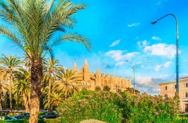 Palma de Mallorca, İspanya 'daki La Seu Katedrali