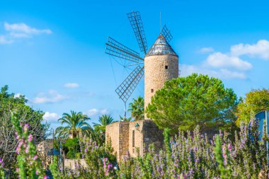 Palma Mallorca, Balearic Adası, İspanya 'da Ortaçağ yel değirmeni