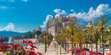 İspanya 'nın Palma de Mallorca adalarındaki Katedral La Seu ile manzara