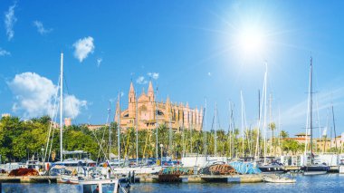 Palma de Mallorca adalarındaki Gotik Katedral ve Ortaçağ La Seu, Spai