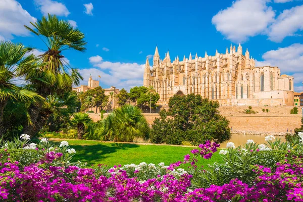 Gotische Kathedraal Middeleeuwse Seu Palma Mallorca Spanje — Stockfoto
