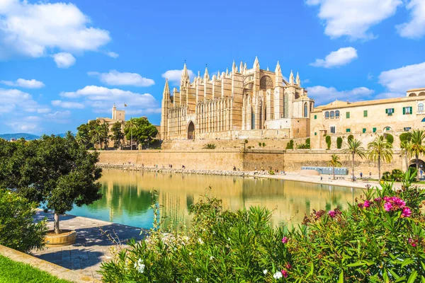 Gotische Kathedraal Seu Palma Mallorca Spanje — Stockfoto