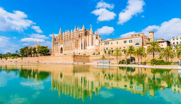 Spanya Nın Palma Mallorca Adalarındaki Gotik Katedral Ortaçağ Seu — Stok fotoğraf