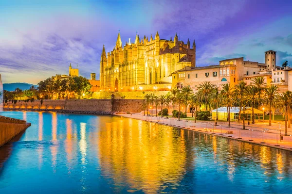 Gotická Katedrála Středověká Seu Ostrovech Palma Mallorca Španělsko — Stock fotografie