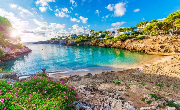 Mała Plaża Cala Esmeralda Cala Palma Mallorca Hiszpania — Zdjęcie stockowe