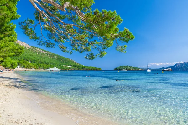 Playa de Formentor (Cala Pi de la Posada), Cap Formentor, Palma Mallorca, İspanya 'da güzel bir plaj.