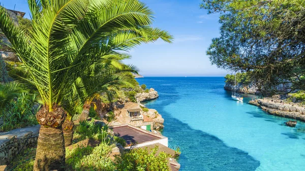 Palmen Und Türkisfarbenes Wasser Von Cala Llombards Insel Mallorca Spanien — Stockfoto