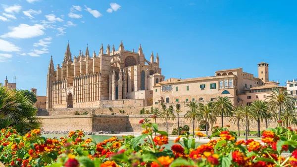 Spanya Nın Palma Mallorca Adalarındaki Gotik Katedral Ortaçağ Seu — Stok fotoğraf