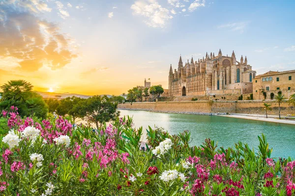 Kathedraal Seu Bij Zonsondergang Palma Mallorca Eilanden Spanje — Stockfoto
