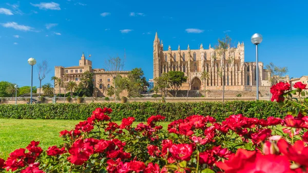 Katedral Seu Palma Mallorca Adaları Spanya — Stok fotoğraf