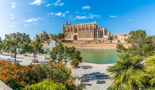 Landschap Met Kathedraal Seu Palma Mallorca Eilanden Spanje — Stockfoto
