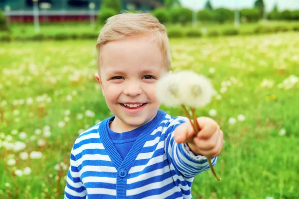 Mutlu bir çocukluk dandelions çim ayakta. Portre mutlu çocuk açık havada doğa yaz günü, tatil. Duygu yüz küçük çocuk. Arka plan yeşil çim. Neşeli çocukluk. Yaşam tarzı.