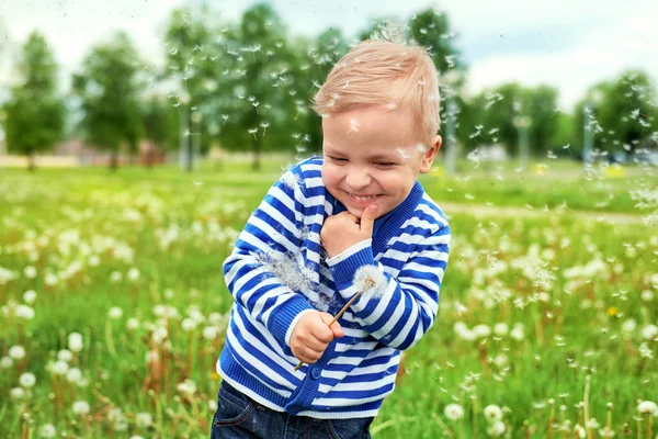 Šťastný úsměv kid stojí v zelené trávě pampelišky. Emoce tvář kavkazské dítě potěšení léto. Portrét chlapce v parku venku. Radostné dětství. Pampeliška semena létání, zelené pozadí — Stock fotografie