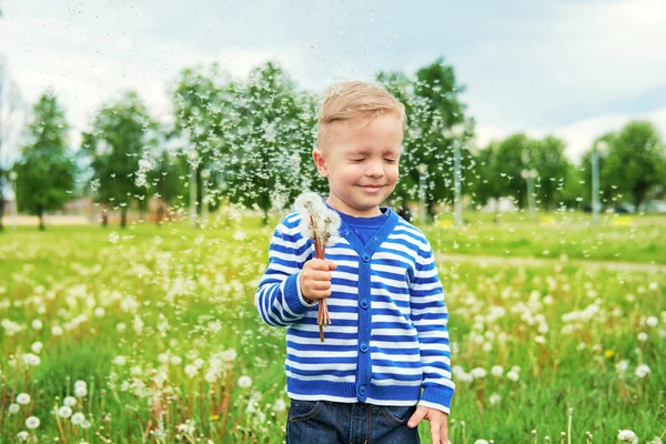 Šťastný úsměv dítě stojící v trávě s pampelišky. Pampeliška semena létání, zelené pozadí. Krásné kavkazské dítě radost. Portrét hezouna volný čas v nature,outdoors.childhood. Životní styl. — Stock fotografie