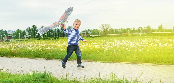 Malý chlapec běží přes park s hračkou pouštění draka. Kavkazská dítě hraje na jarní den. Životní styl dítě aktivně rekreace. Kopírovat prostor pro text, prázdné pozadí. Léto, venku, zelená tráva. — Stock fotografie