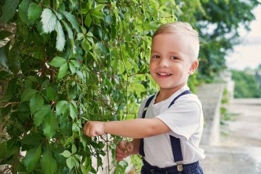 Memnun çocuk çocuk duvar bitkileri ile duruyor. Portre sarışın çocuk açık havada. Bir gülümseme ile sevimli yüz.