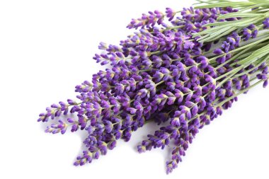 Bouquet of lavender  on a white background. clipart