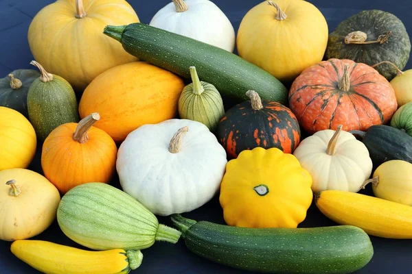 Herbsternte Bunte Kürbisse Und Kürbisse Verschiedenen Sorten — Stockfoto