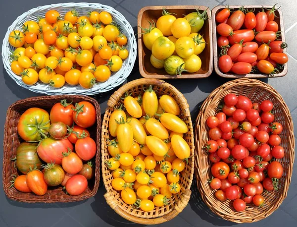 Bunte Tomaten Unterschiedlicher Art Weidenkorb — Stockfoto