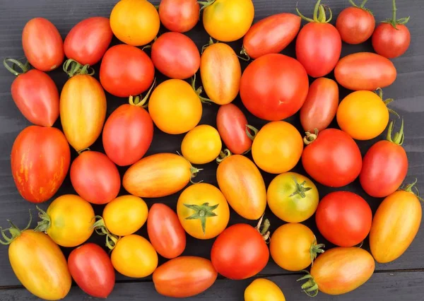 Coloridos Tomates Diferentes Tipos Sobre Fondo Madera — Foto de Stock