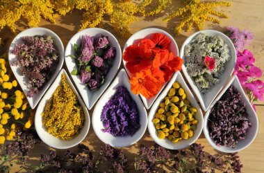 Bitkiler ve çiçekler ahşap arka plan üzerinde seramik kase doğal alternatif ilaçlar kullanılır. Üstten görünüm. Düz yatıyordu.