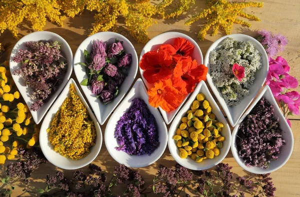 Bitkiler ve çiçekler ahşap arka plan üzerinde seramik kase doğal alternatif ilaçlar kullanılır. Üstten görünüm. Düz yatıyordu.