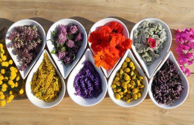 Bitkiler ve çiçekler ahşap arka plan üzerinde seramik kase doğal alternatif ilaçlar kullanılır. Üstten görünüm. Düz yatıyordu.