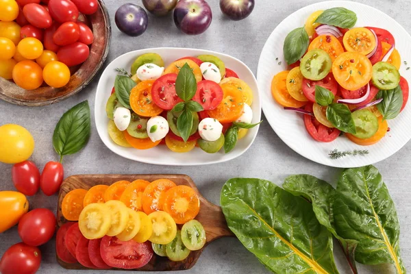Salat Aus Bunten Tomaten Mit Basilikum Zwiebeln Und Mozzarella Ansicht — Stockfoto