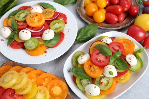 Salát Barevné Rajčata Bazalkou Cibule Mozzarella Sýr Pohled Shora — Stock fotografie