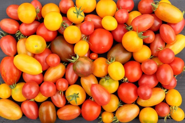 Colorido Diferentes Tipos Tomates Fundo Madeira — Fotografia de Stock