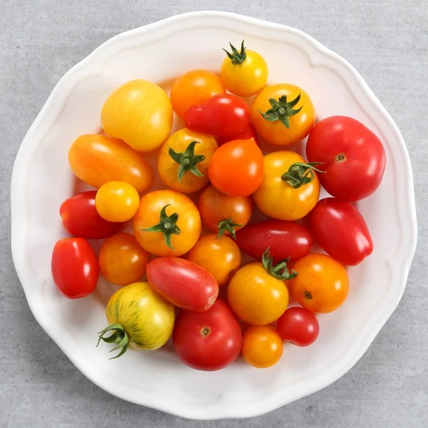 Colorful Tomatoes White Plate Top View — Stock Photo, Image