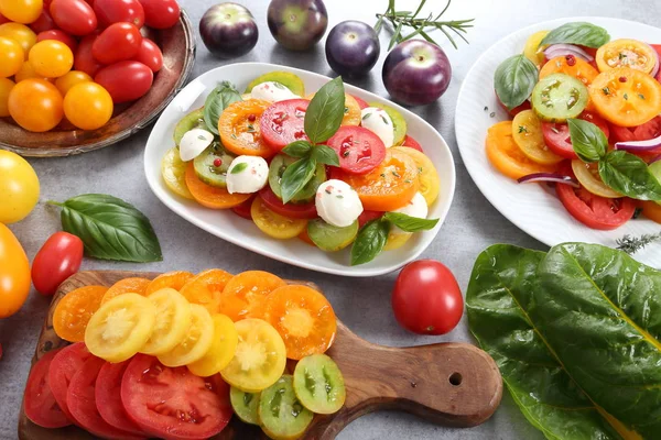 Salát Barevné Rajčata Bazalkou Cibule Mozzarella Sýr Pohled Shora — Stock fotografie