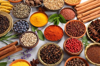 Renkli ve aromatik bitki ve baharat gri Seramik zemin üzerine. Üstten görünüm.