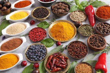 Renkli, aromatik baharat ve hafif bir arka plan üzerinde taze otlar. Üstten görünüm.