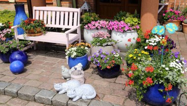 Bahçe süslemeleri. Çiçek aranjmanları seramik tencere.