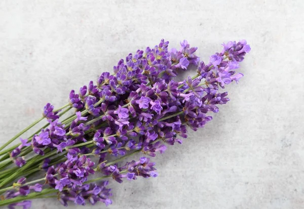 Bouquet Lavanda Fondo Grigio — Foto Stock