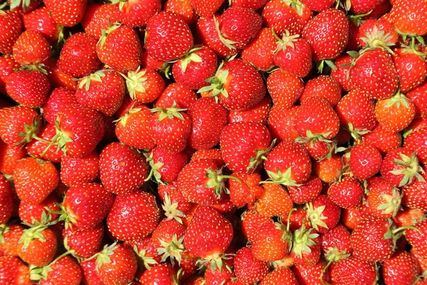 Background Fresh Juicy Strawberries Top View — Stock Photo, Image