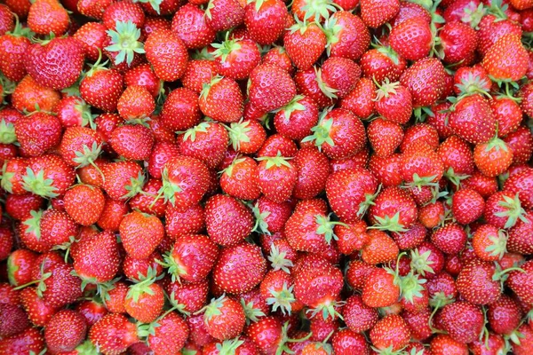 Background Fresh Juicy Strawberries Top View — Stock Photo, Image