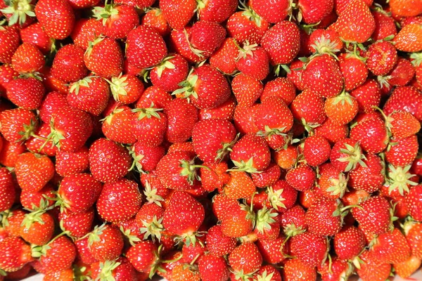 Background Fresh Juicy Strawberries Top View — Stock Photo, Image