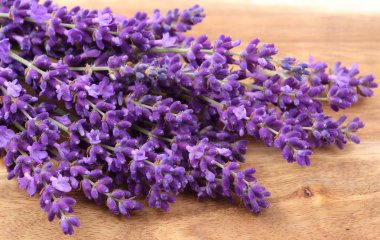 Bir demet lavanta..