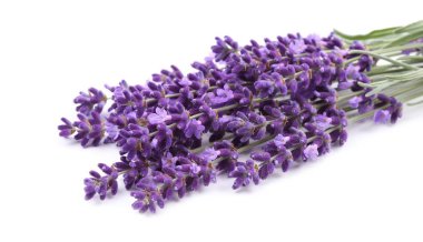 Bir demet lavanta..